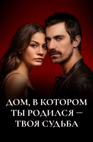 Дорама Дом, в котором ты родился – твоя судьба онлайн